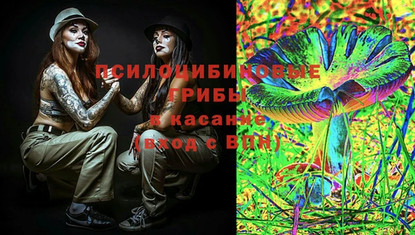 герыч Алексин